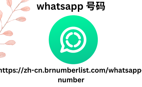 WhatsApp 号码