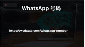 WhatsApp 号码