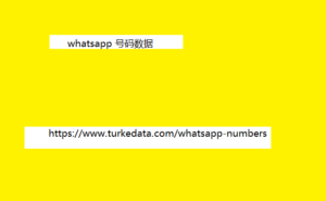 WhatsApp 号码数据