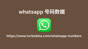 WhatsApp 号码数据