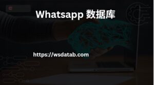 Whatsapp 数据库