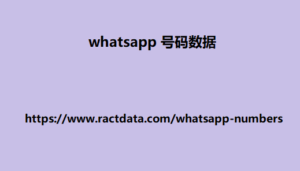 whatsapp 号码数据